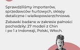 raport-zabawki-palnosc-kontrola-ih-2024-strona-03.jpg